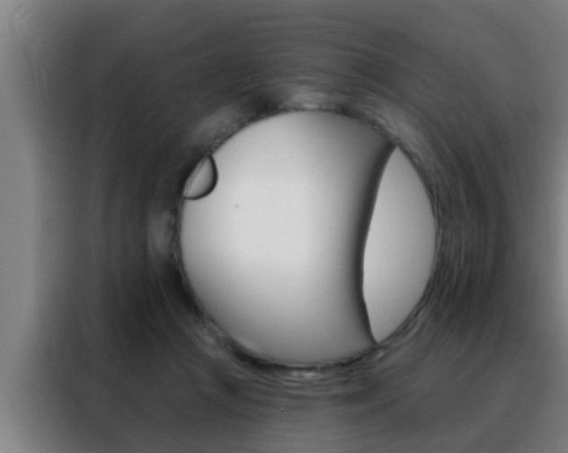 X0000088490361200705221027