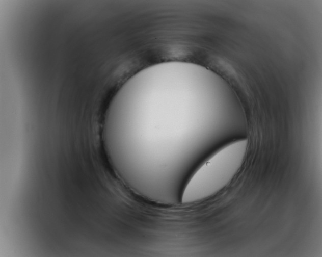X0000088490366200705221027