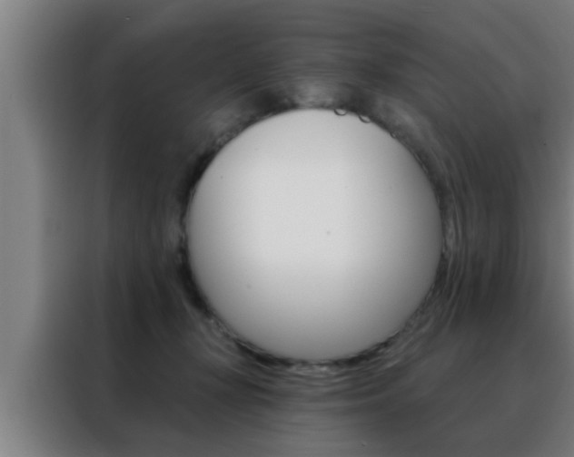 X0000088490367200705221027