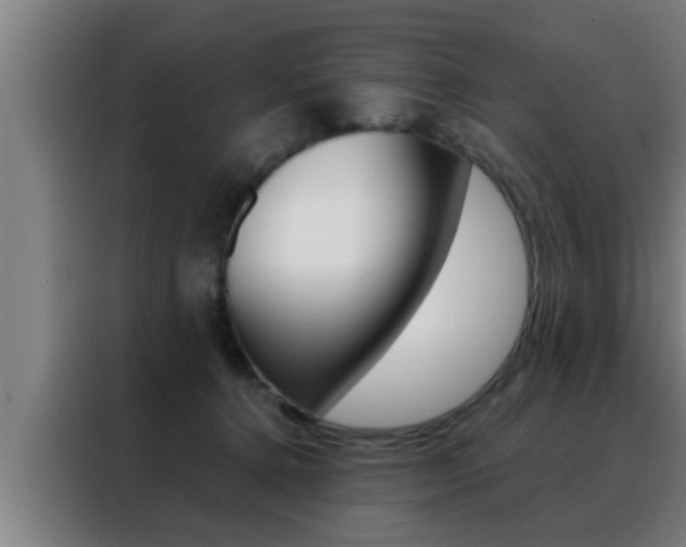 X0000088490368200705221027