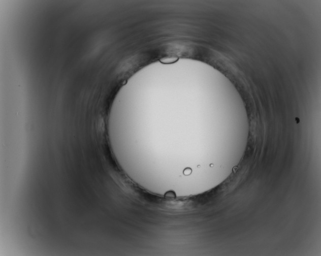 X0000088490375200705221027