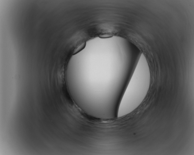 X0000088490376200705221027