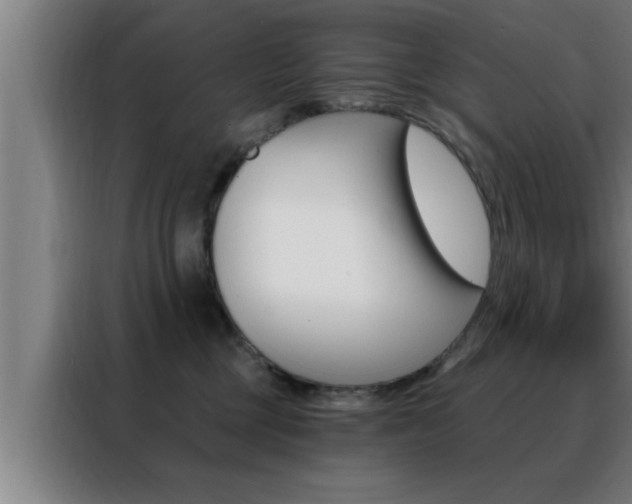 X0000088490377200705221027