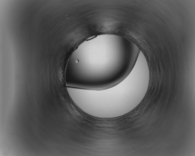 X0000088490380200705221027