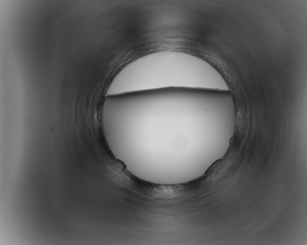 X0000088490381200705221027