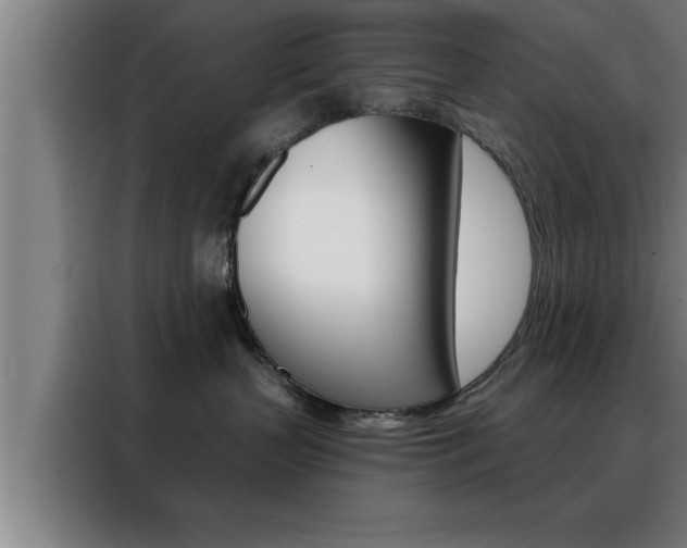 X0000088490383200705221027