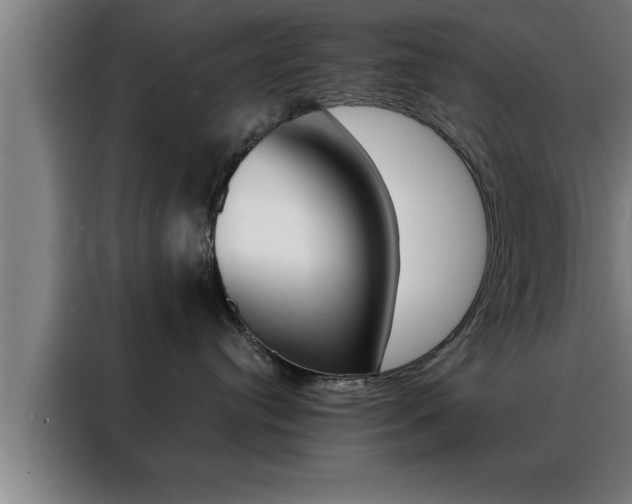 X0000088490384200705221027