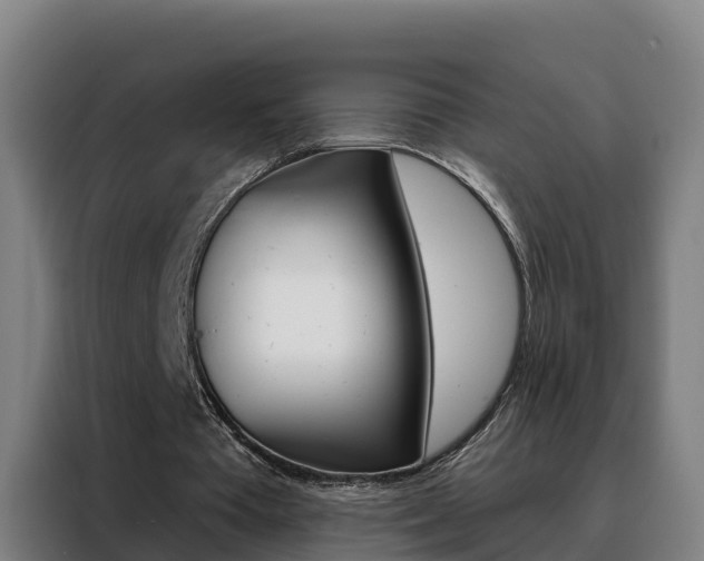X0000088490385200705221027