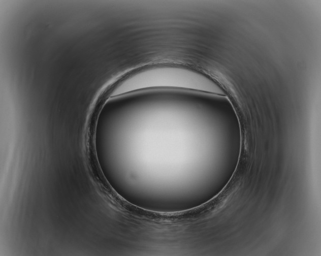 X0000088490388200705221027