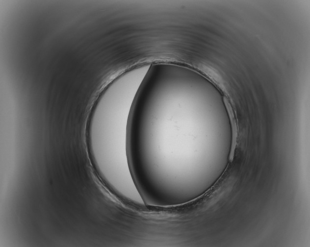 X0000088490389200705221027