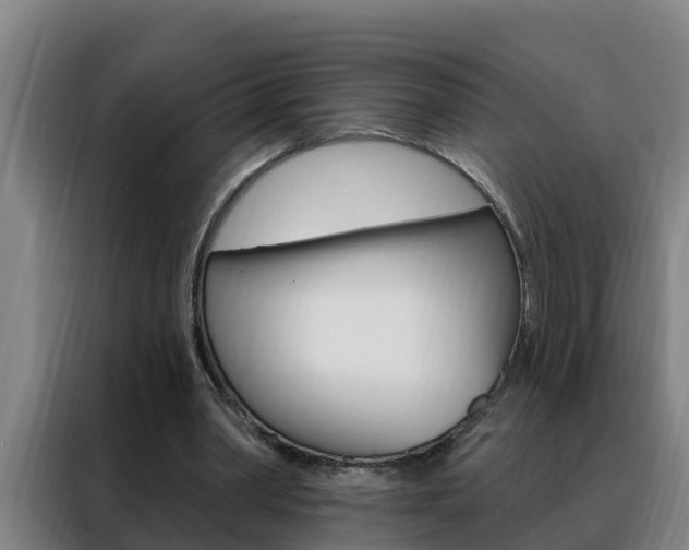 X0000088490390200705221027