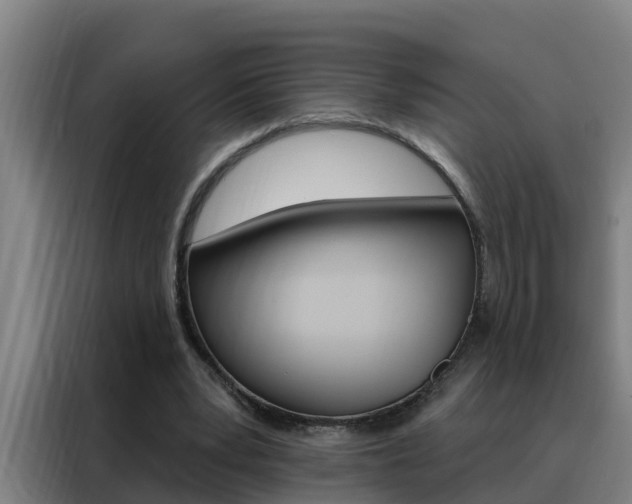 X0000088490391200705221027