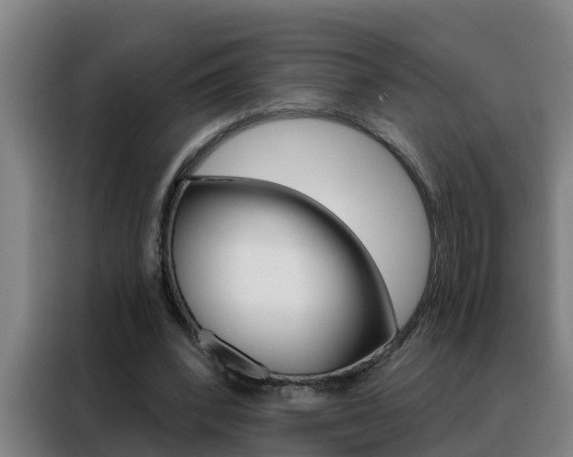 X0000088490392200705221027