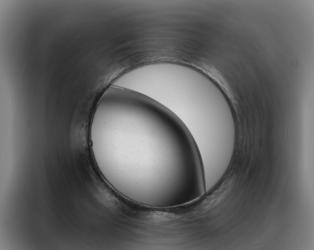 X0000088490393200705221027
