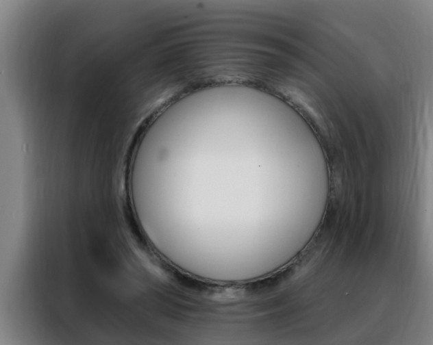 X0000088490398200705221026