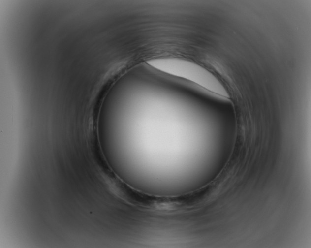 X0000088490407200705221026