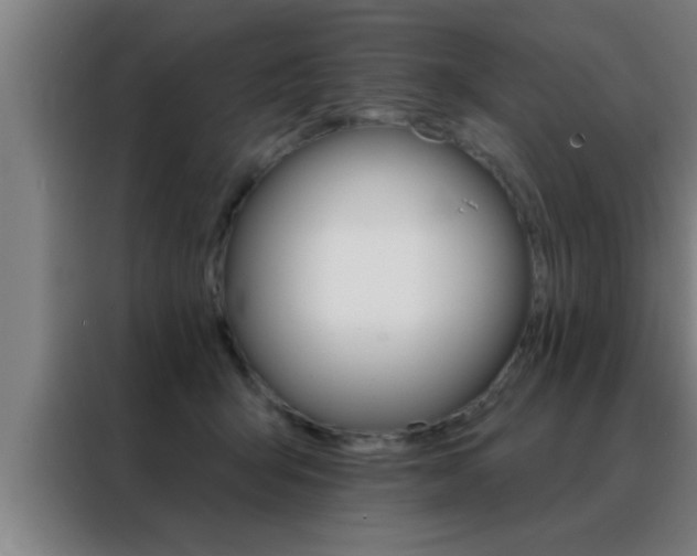 X0000088490415200705221026