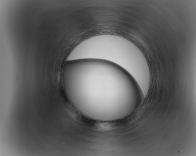 X0000088490417200705221026