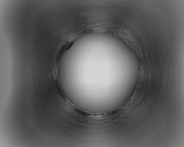 X0000088490419200705221026