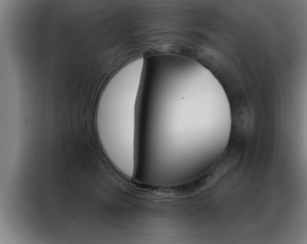 X0000088490420200705221026
