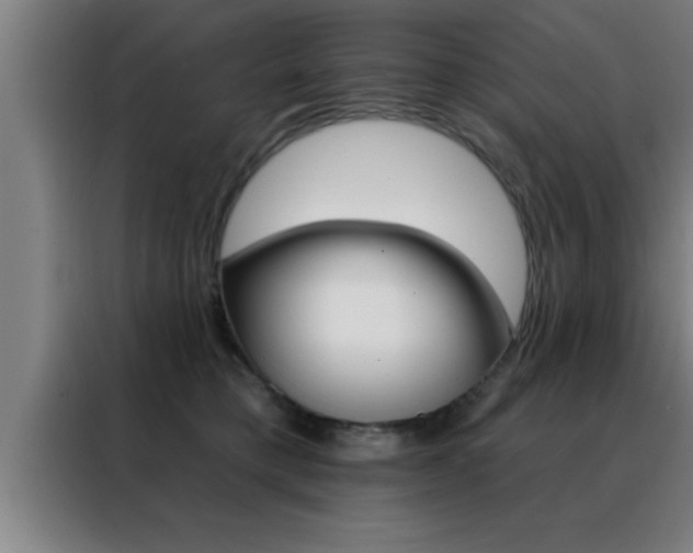 X0000088490421200705221026