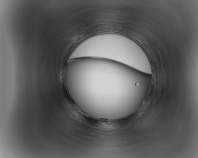 X0000088490423200705221026
