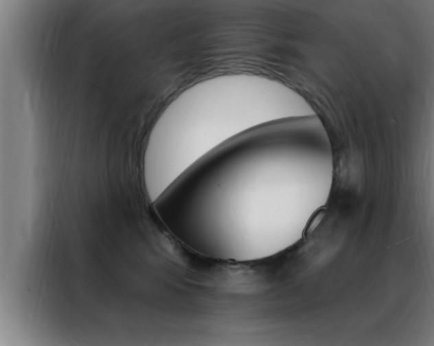X0000088490424200705221026