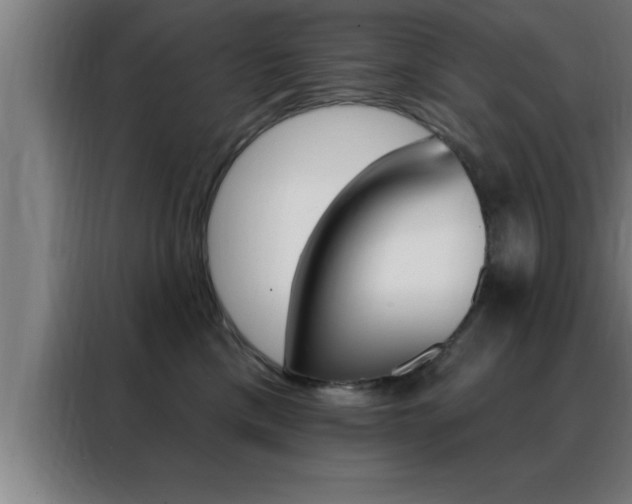 X0000088490425200705221026