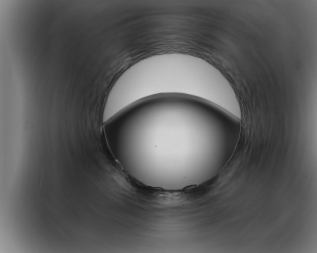 X0000088490428200705221026
