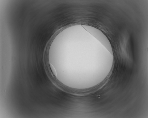 X0000088490431200705221026