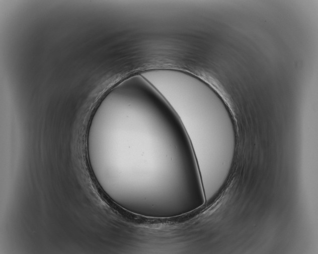 X0000088490433200705221025