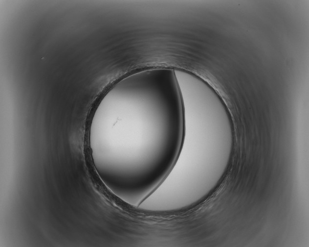 X0000088490434200705221025