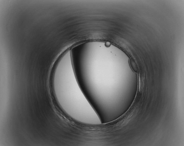 X0000088490435200705221025