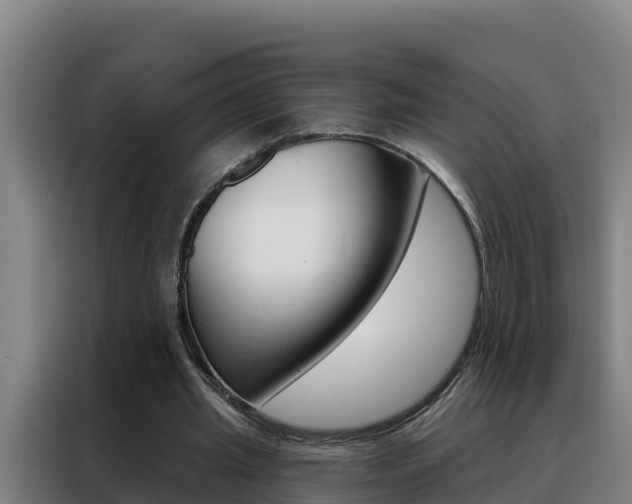 X0000088490437200705221025