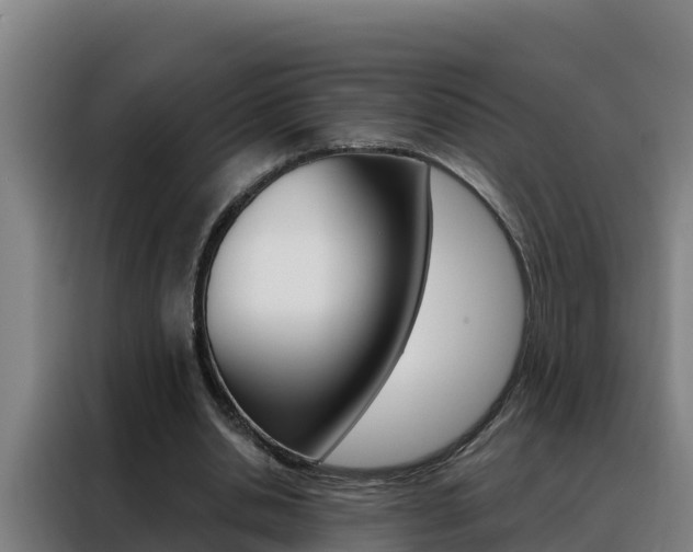 X0000088490438200705221025
