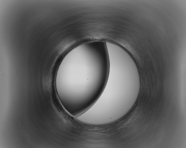X0000088490440200705221025