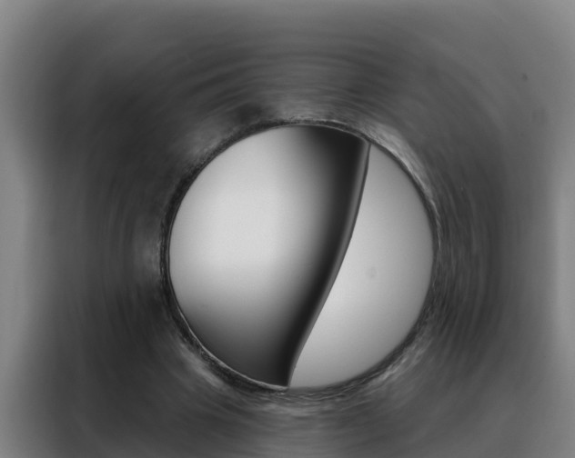 X0000088490441200705221025