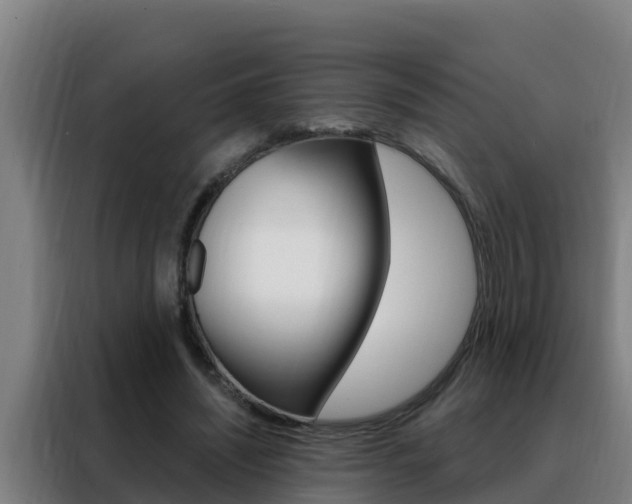 X0000088490444200705221026