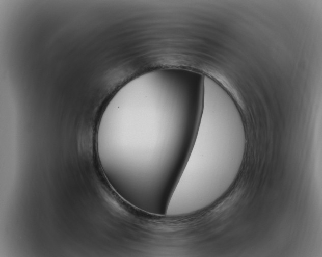 X0000088490445200705221026