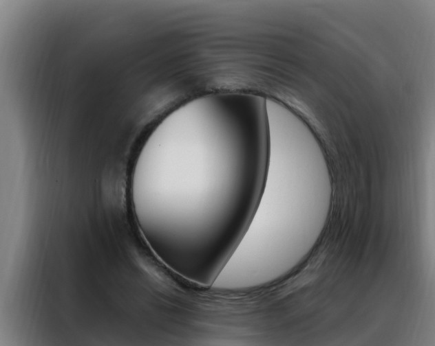 X0000088490446200705221026
