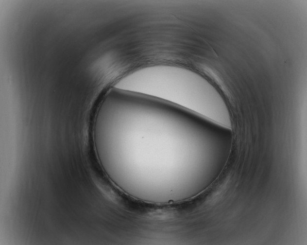 X0000088490447200705221026