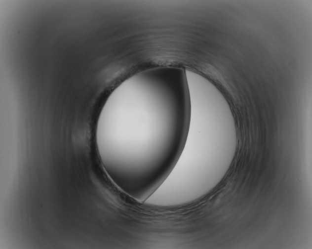 X0000088490448200705221026