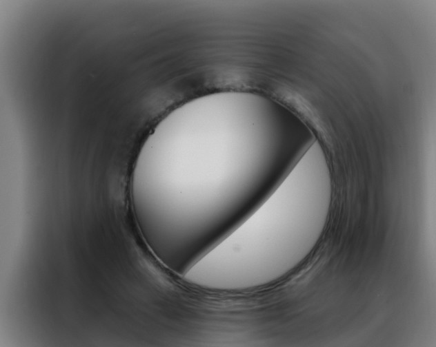 X0000088490449200705221026