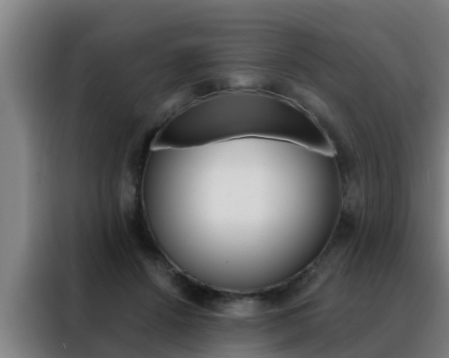 X0000088490456200705221026