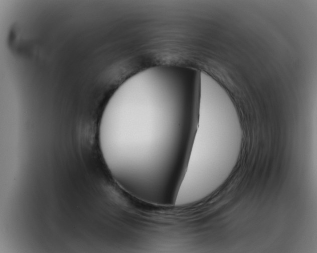X0000088490458200705221026