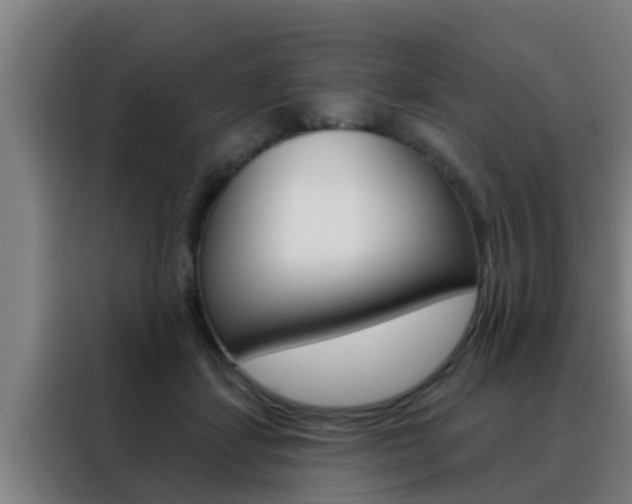 X0000088490459200705221026