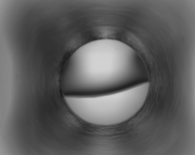 X0000088490461200705221026