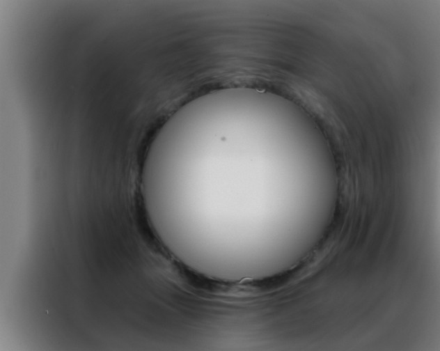 X0000088490463200705221026