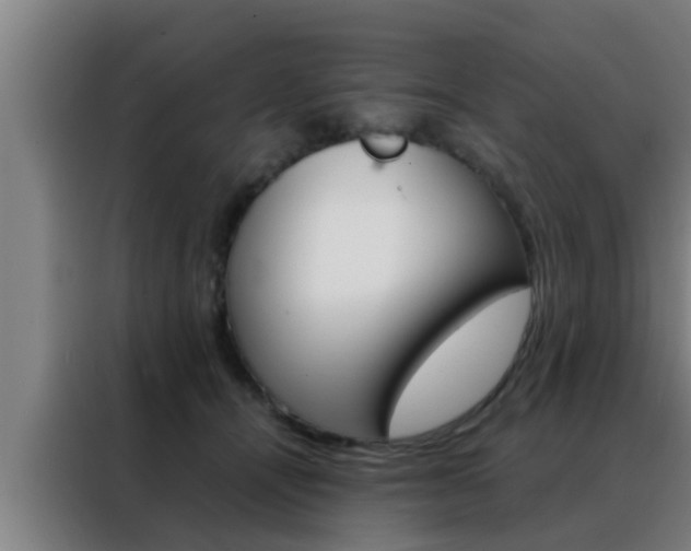 X0000088490464200705221026
