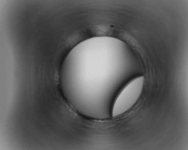 X0000088490469200705221026